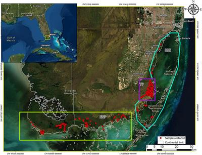 Hematology and biochemistry reference intervals for American crocodiles (Crocodylus acutus) in South Florida